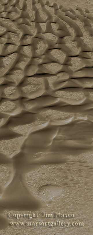 Mars Crater Dune Field