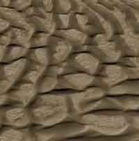 Mars Crater Dune Field Wallpaper